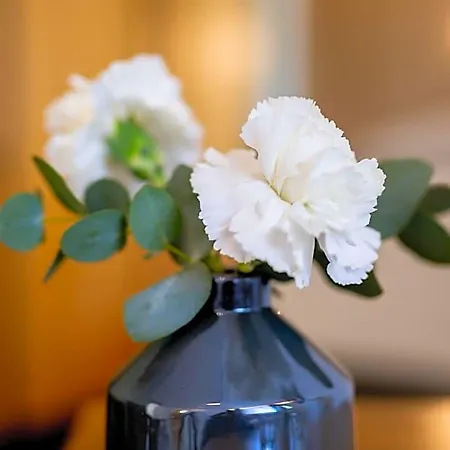 Suedblick Hotel Norderney
